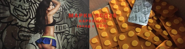 мет Ладушкин