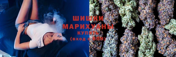 мет Ладушкин