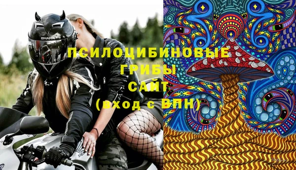 первитин Лабытнанги