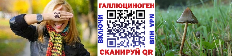 сайты даркнета Telegram  даркнет сайт  Феодосия  Псилоцибиновые грибы MAGIC MUSHROOMS 