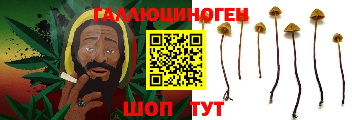 Феодосия  Галлюциногенные грибы Psilocybine cubensis  Галлюциногенные грибы Magic Shrooms  Вход с VPN 